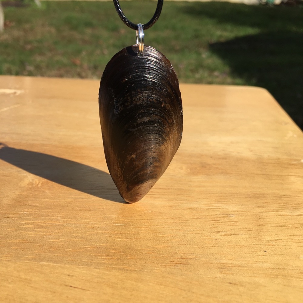 Handmade Shell Necklace - Picture 11 of 11